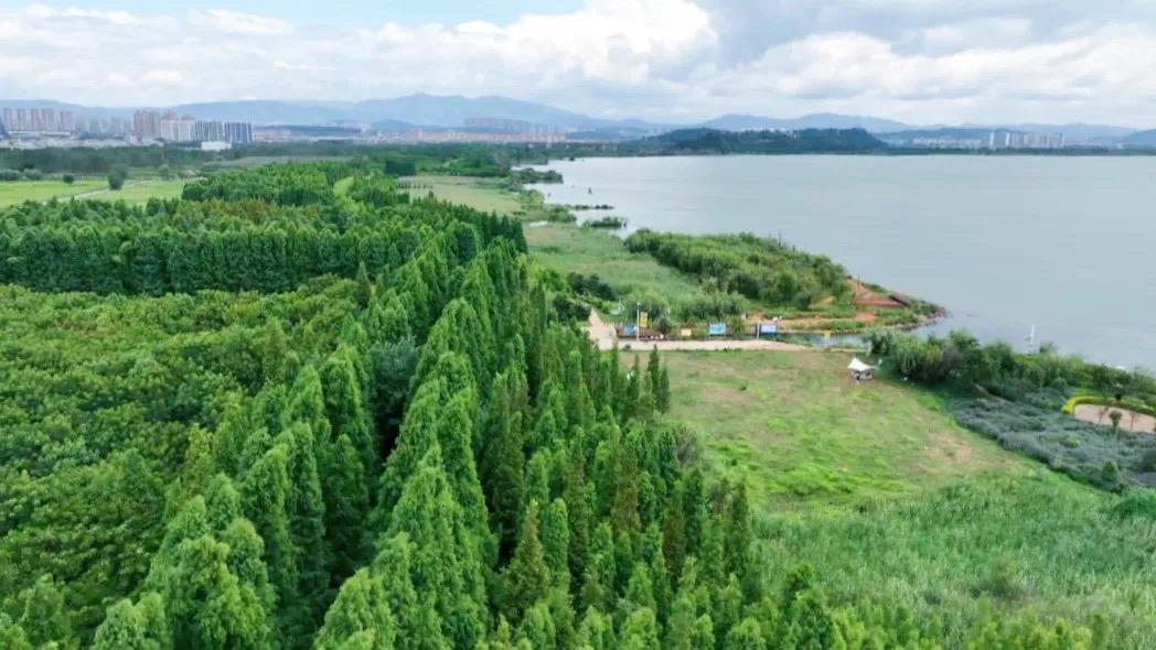 云南省绿美城市评选,云南省绿美城市建设