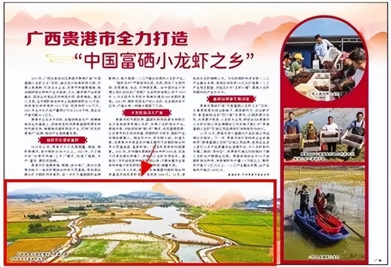 聚传媒力量，发奋进强音！平南县上半年新闻宣传工作亮点来啦→