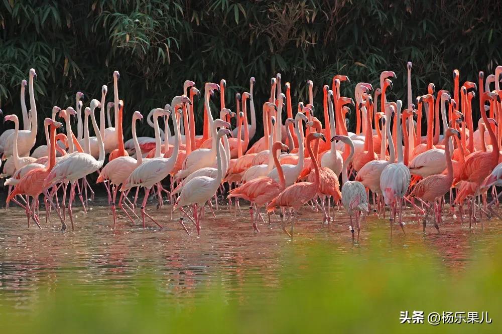 上海浦东新区北蔡镇,上海浦东新区八佰伴附近的酒店