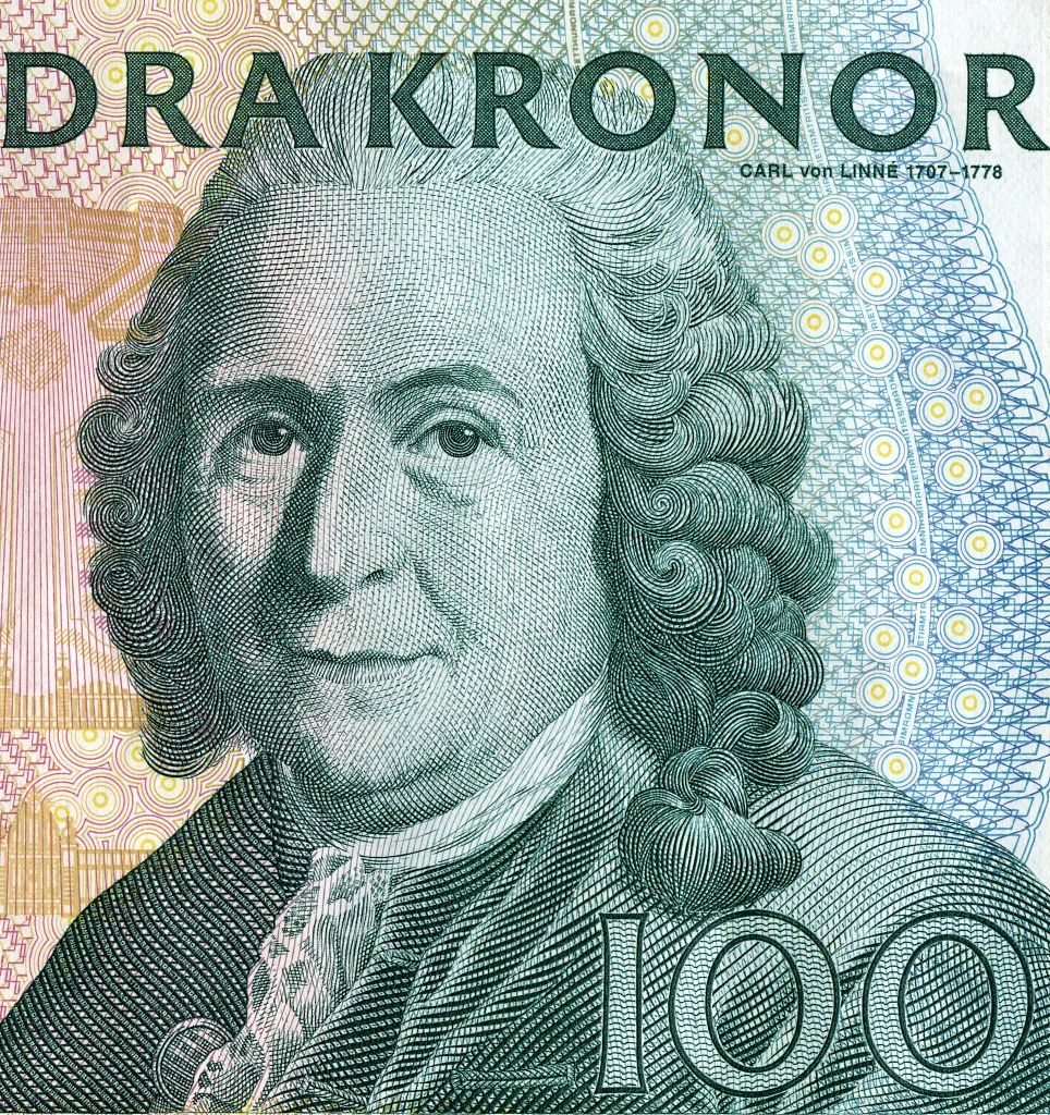 新物种有哪些,新物种是怎么凭空出现的