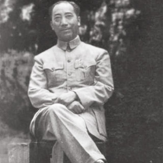 戴笠之子被枪毙真相,戴笠之子戴善武为何被枪毙