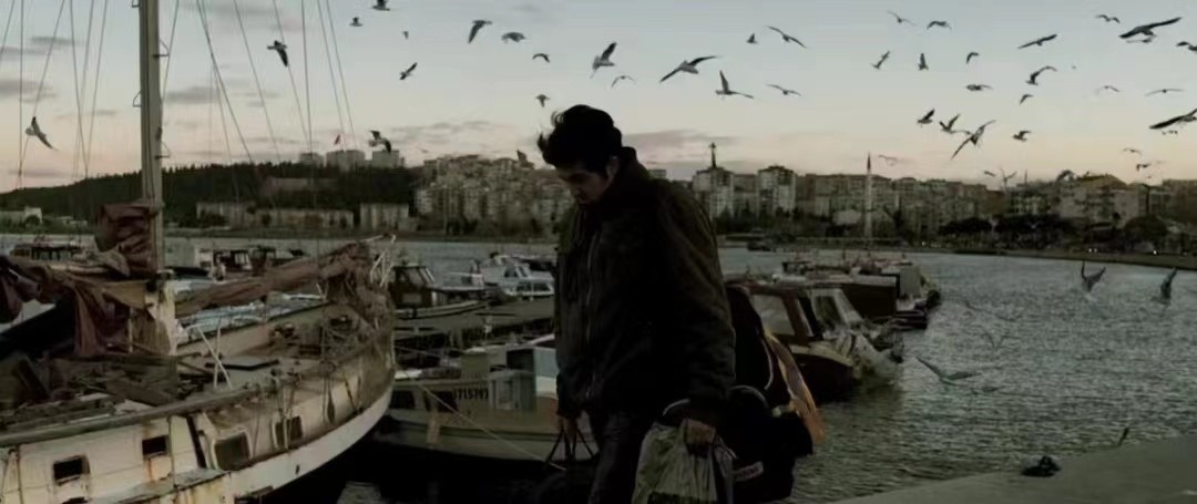 野梨树完整版免费观看,关于野梨树的电影