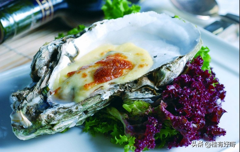 澳洲生蚝哪里的最好吃,澳大利亚的海鲜生蚝