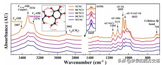 纤维素纳米晶体长宽比对所有CNC薄膜性能的影响被膜和木材CNC