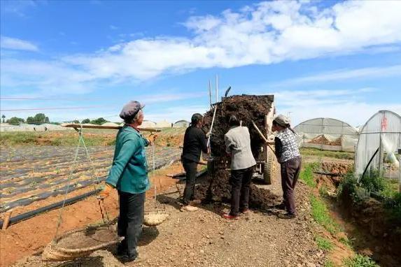 一户一块田补贴费用怎么分配,一户一田收回吗