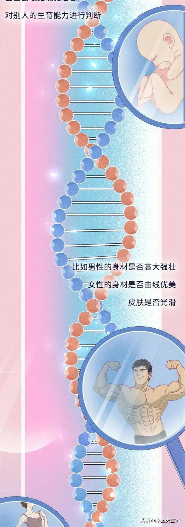 漫画科普:为何说*袜丝**是男女们共同的“衷爱”？别害羞进来看看