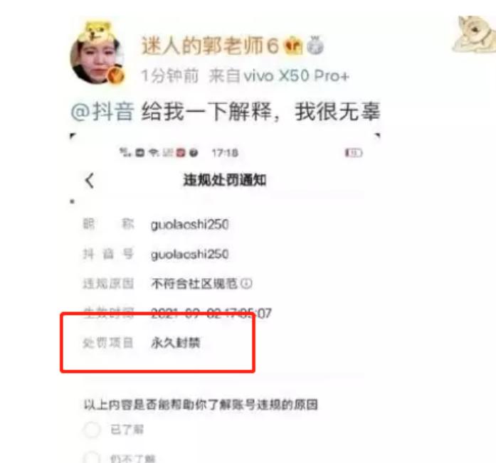 被央视点名的网红,央视点名小学生网红