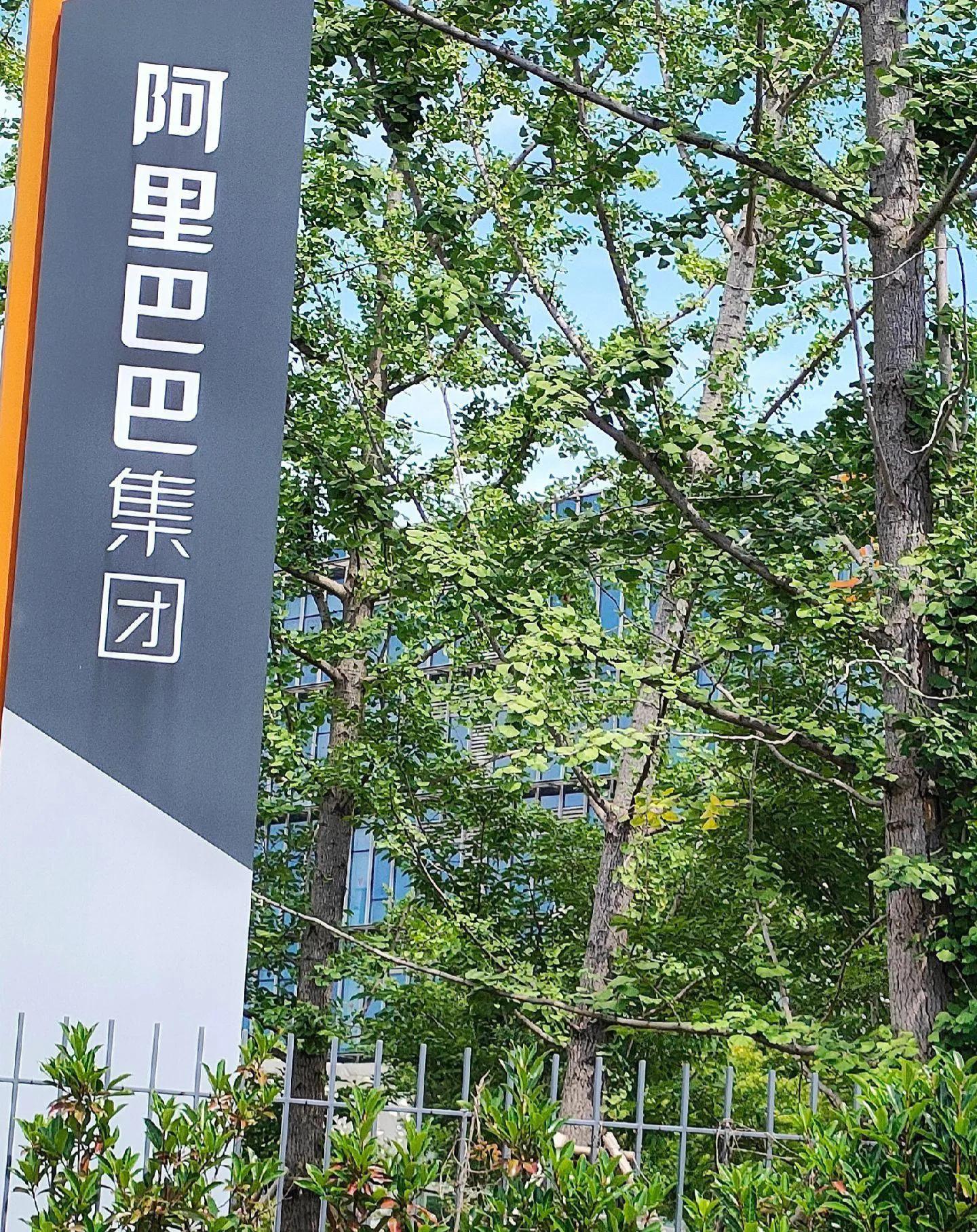 阿里巴巴奢华电商产品,阿里巴巴为什么低调了很多