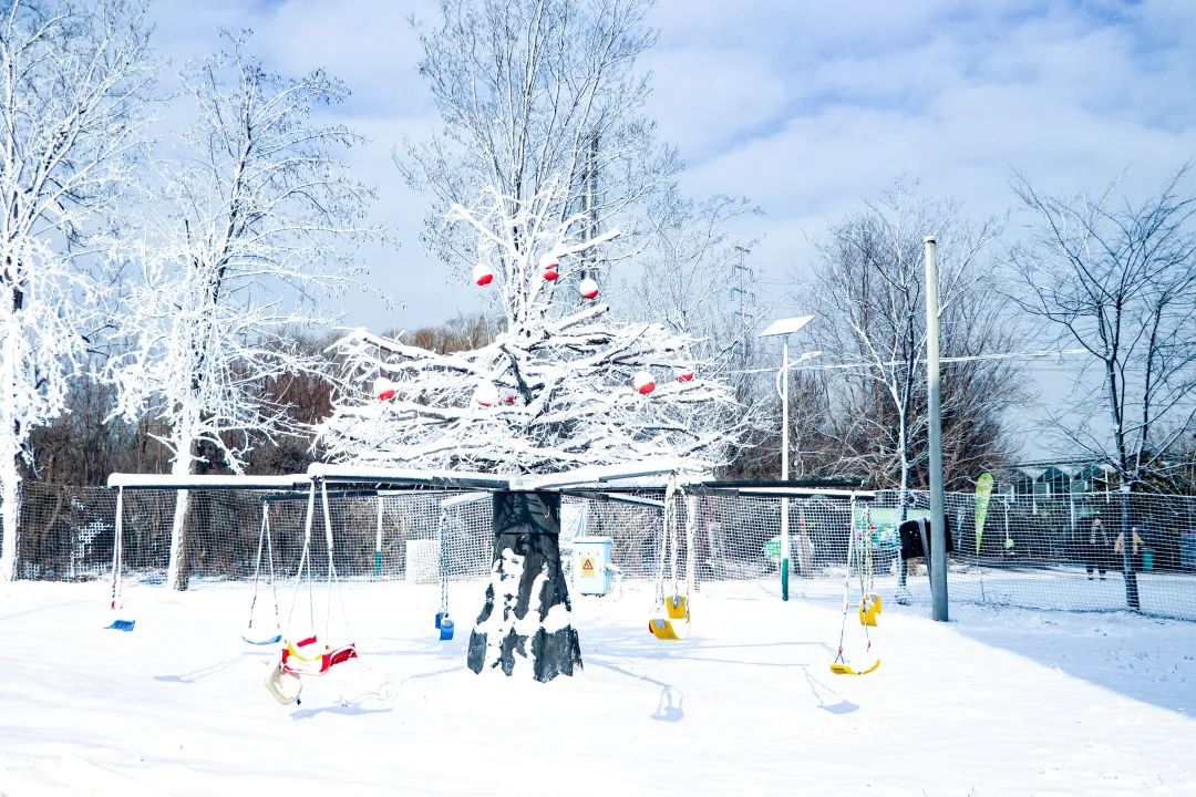 聊城周边最好的滑雪场,山东最大滑雪场推荐