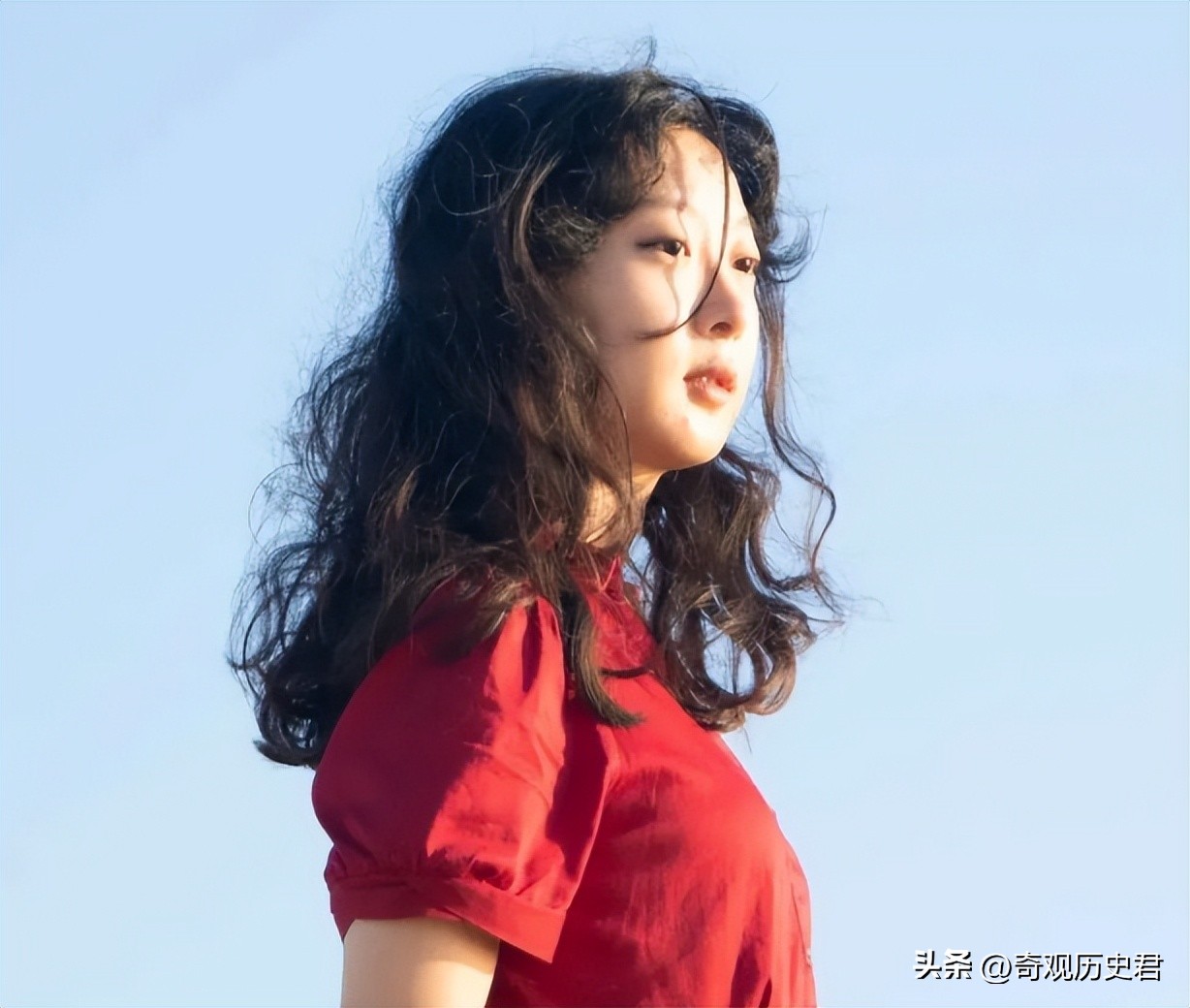 动物和人类行为的研究,有关动物行为的研究