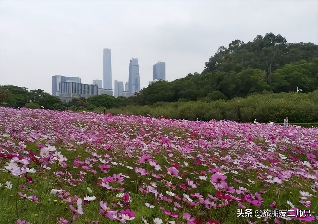 广州去西藏沿途景点攻略,东莞出发5天自由行攻略