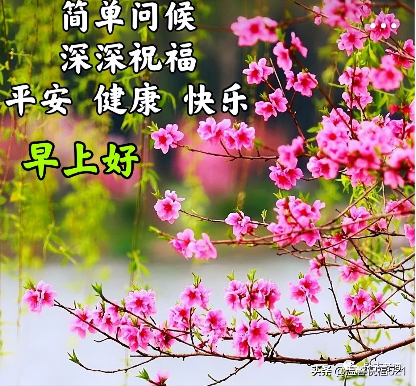 早上好图片带字早安问候,最新早上好带字温馨问候图片