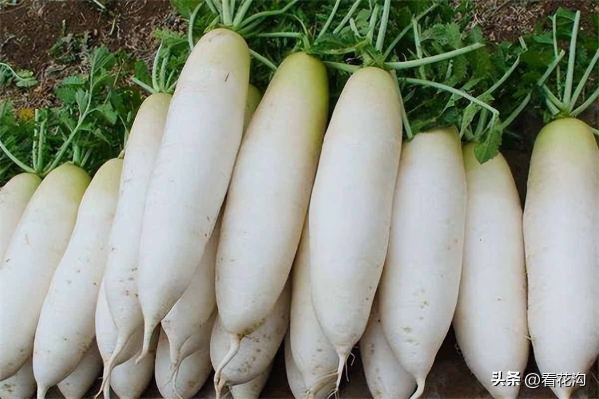 泌阳县1965年地图,河南泌阳县最新人口