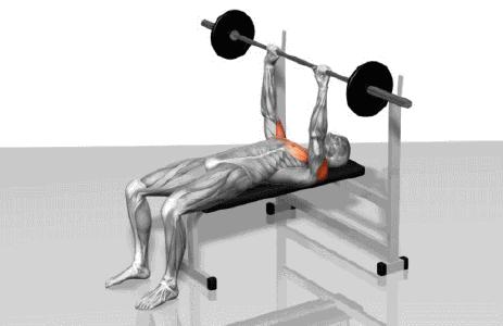 健身房常规器械名称及使用方法