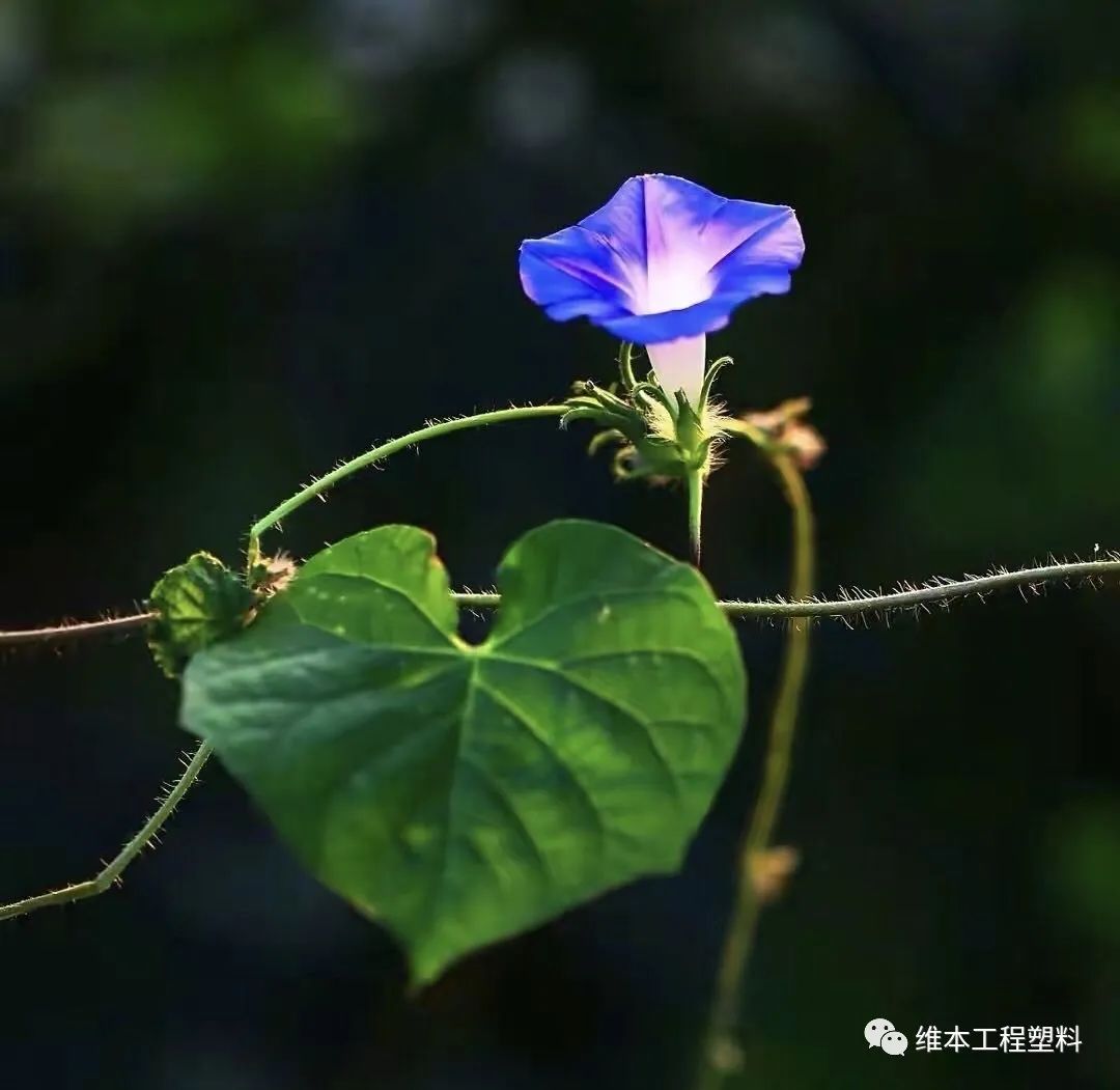 精密模具与电火花加工