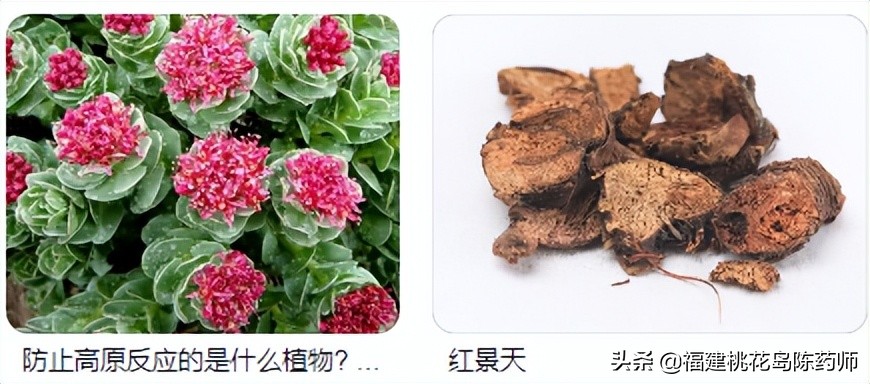 补阴十味中药,补阴第一的中药