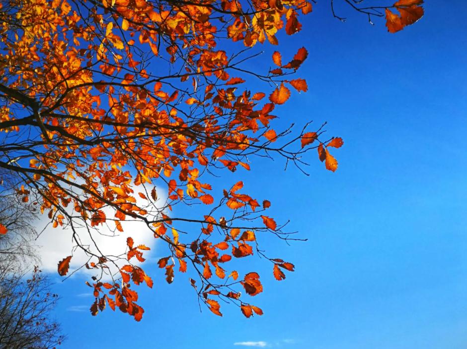 三人行|​一醉管他寒与暑醉里扁舟烟水处（原创诗词唱和15首）