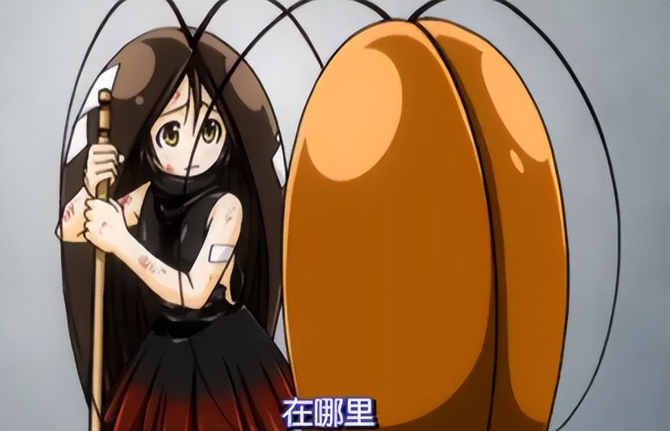 锜戣瀭娌荤櫨鐥呭吇娈栧皬寮烘垚鏈濋槼浜т笟,锜戣瀭鍏绘畺鍙戝鑷村瘜