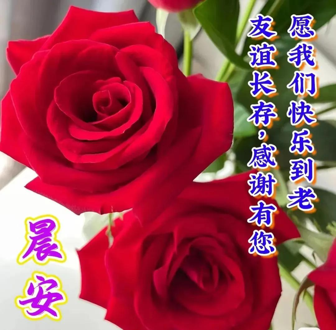 周末早安最漂亮问候图片带字,周三早安正能量图片带字