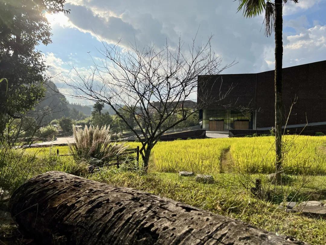 国内真正的天然温泉大全,国内真正的天然温泉排名