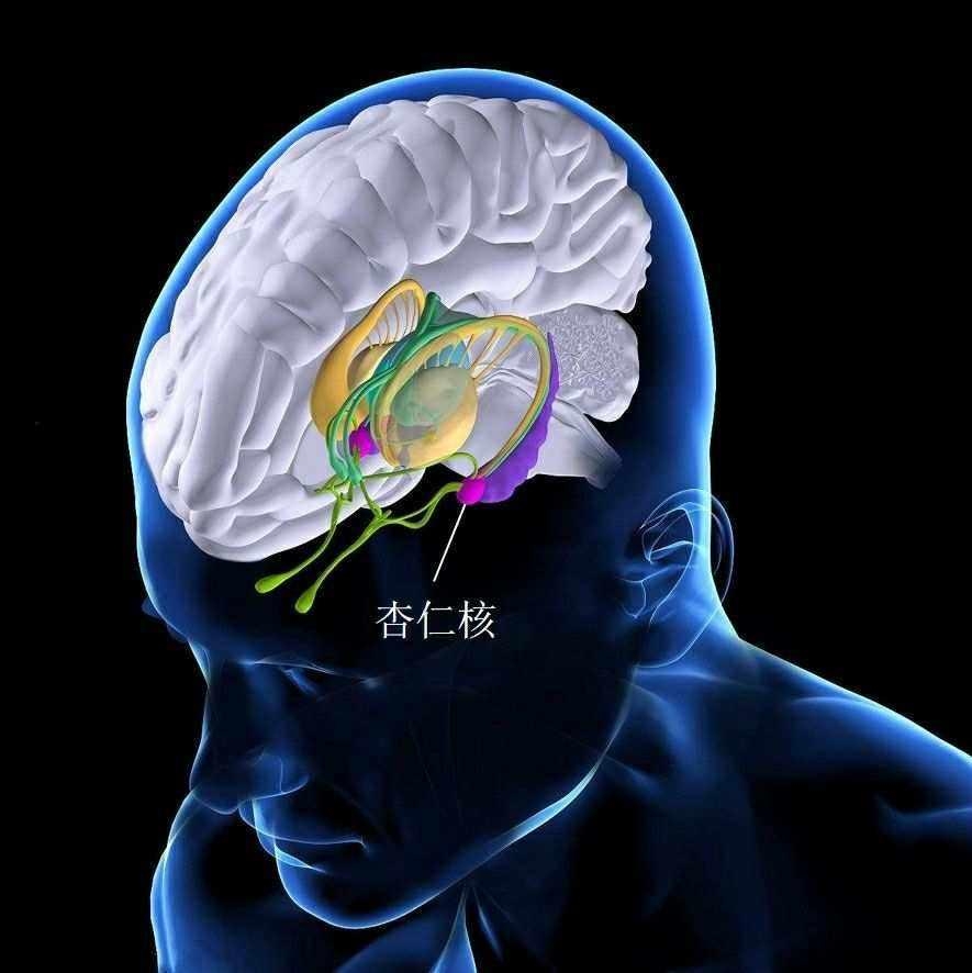 不想离婚又不想回婆家怎么办,不想离婚但又想离开老公