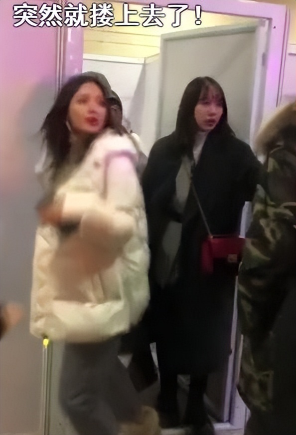 张翰为东八区上了几次热搜,张翰如何回应东八区的先生们