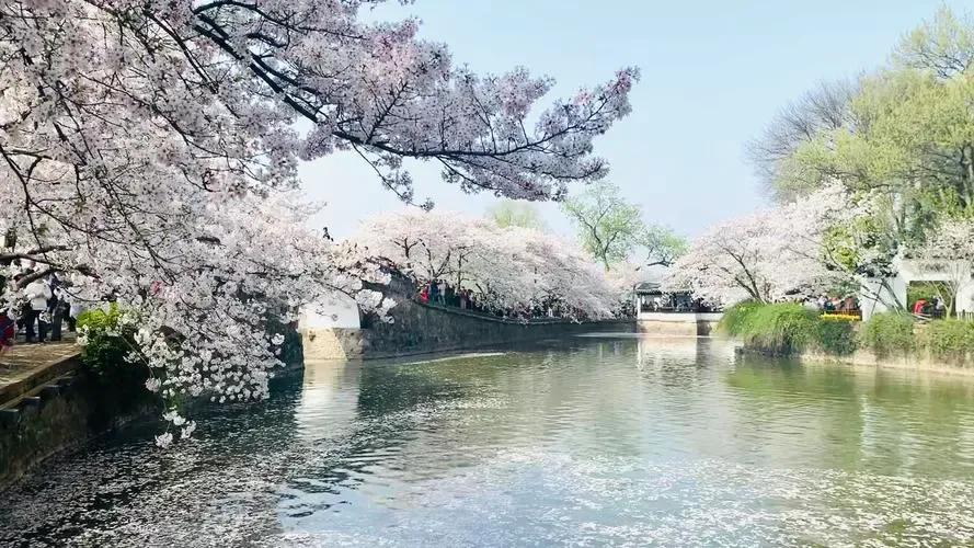 江苏都有哪些景区门票免费的,江苏免门票景点