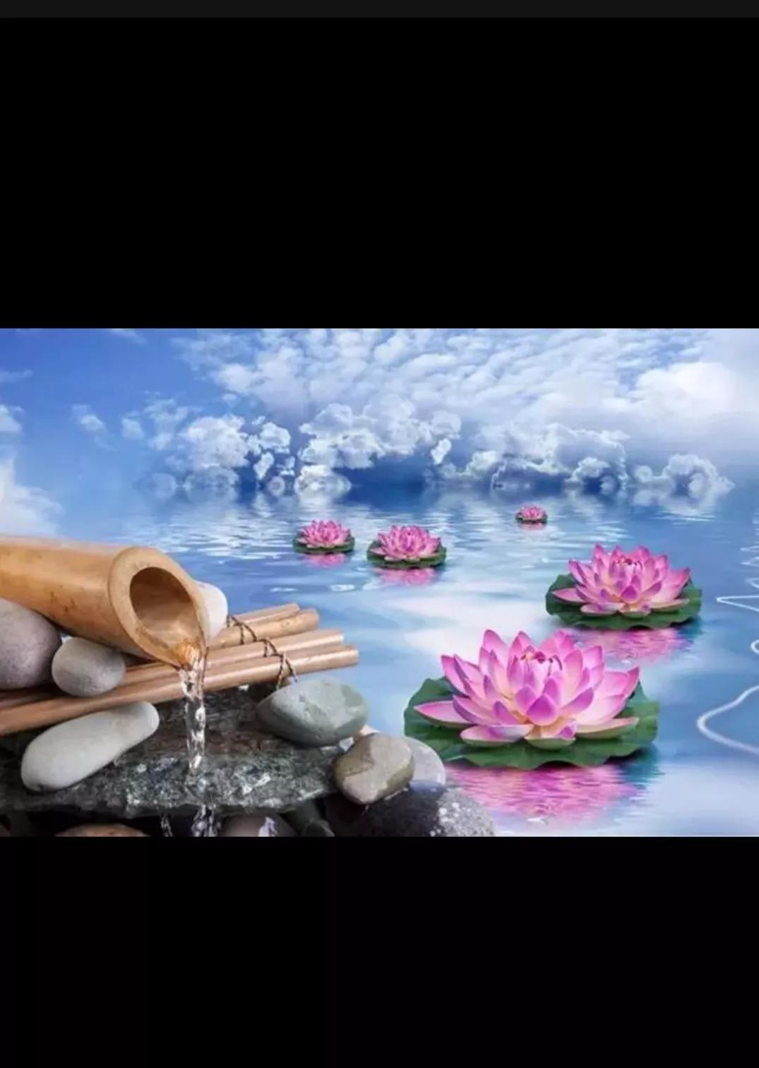 佛教中的实相有哪些,佛教法相有哪些