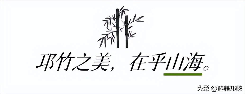 竹是风骨,平安竹养的如此茂盛