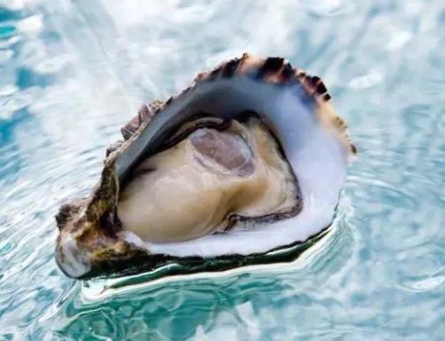 鍘﹂棬鍗佸ぇ鐢熻殱鎺掑悕,鍗佸ぇ杩涘彛鐢熻殱鎺掑悕