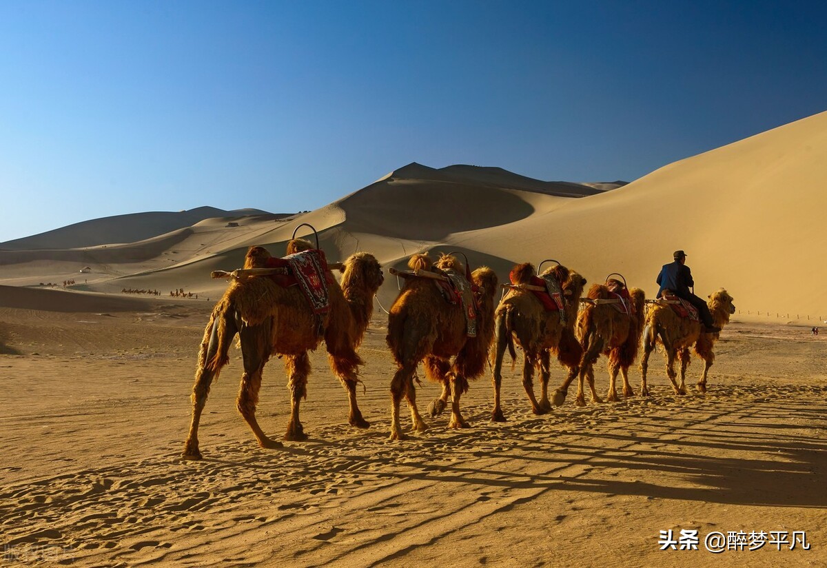 甘肃敦煌鸣沙山月牙泉自由行,甘肃敦煌鸣沙山月牙泉景区