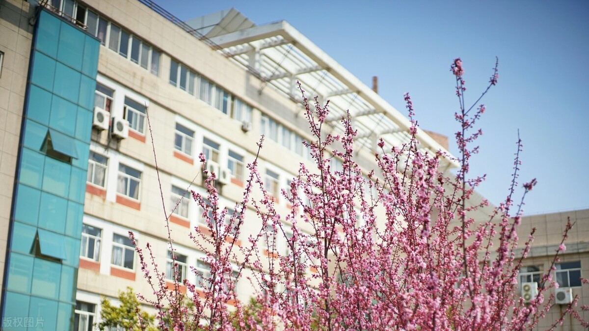 最高分606！西北政法大学2022年福建省录取分数