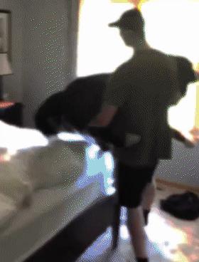 救助了小狗发现长大不简单,收养了一只小狗成长历程