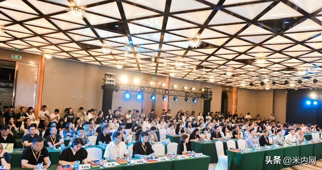 集采锂矿,集采锂电