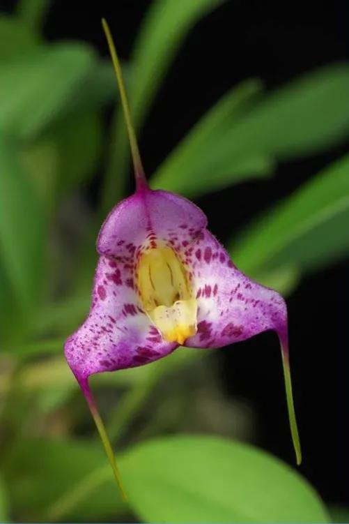 100种迷人的“数字花”,从零到一百万,真是太神奇了