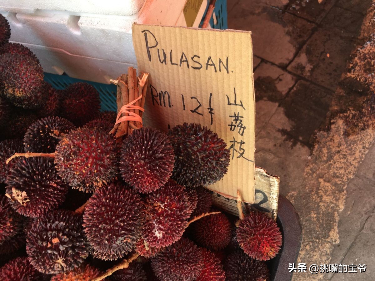 马来西亚特别推荐的水果,华人在马来西亚所占的比例