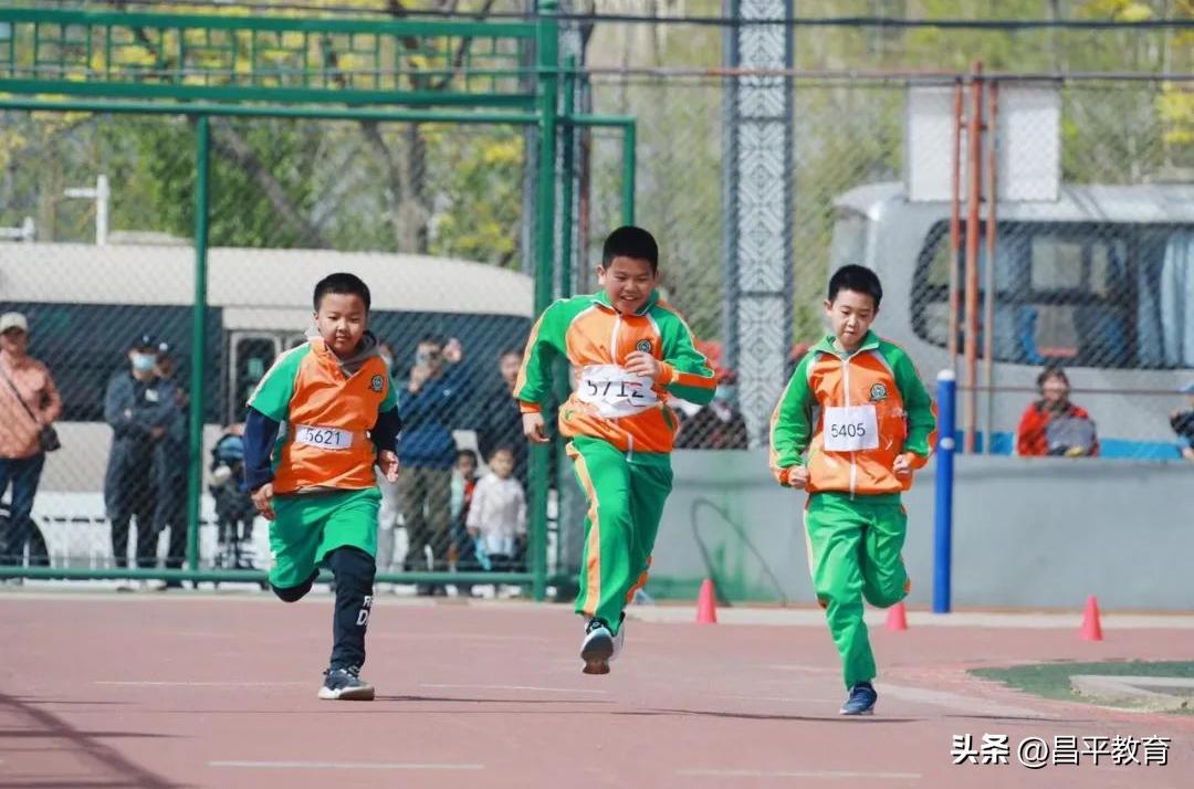 赋能于师丨城区学区在行动!