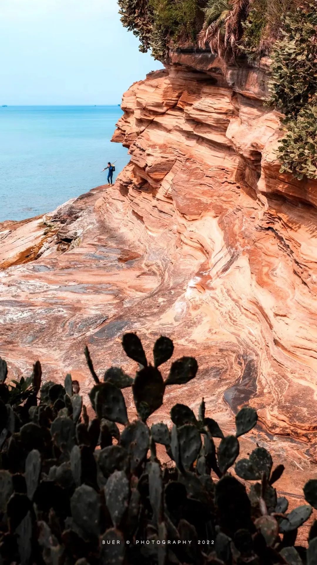 这座岛究竟有何神奇之处,怎么玩海陵岛不踩坑