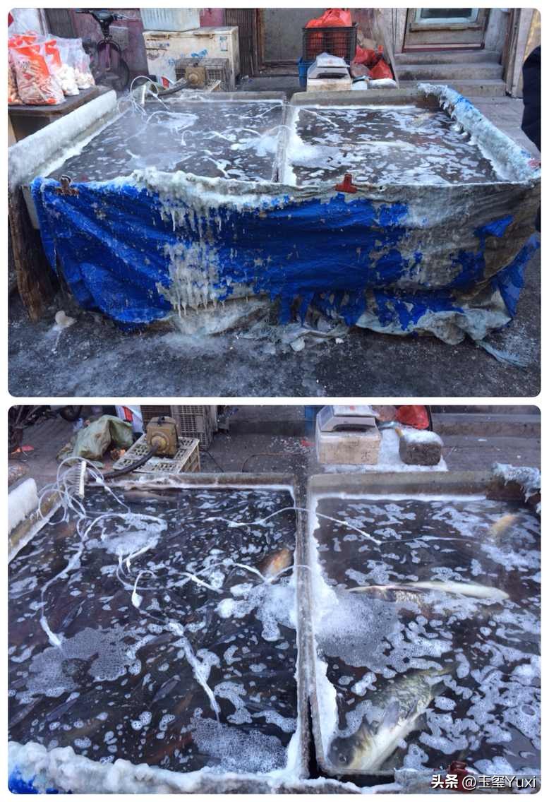 哈尔滨2005年真实故事改编,哈尔滨南岗是道里还是道外