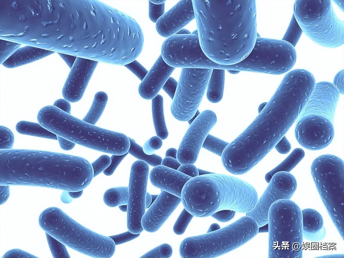 探究东部黑犀牛，激素代谢物和卵巢周期阶段肠道中微生物群的反应