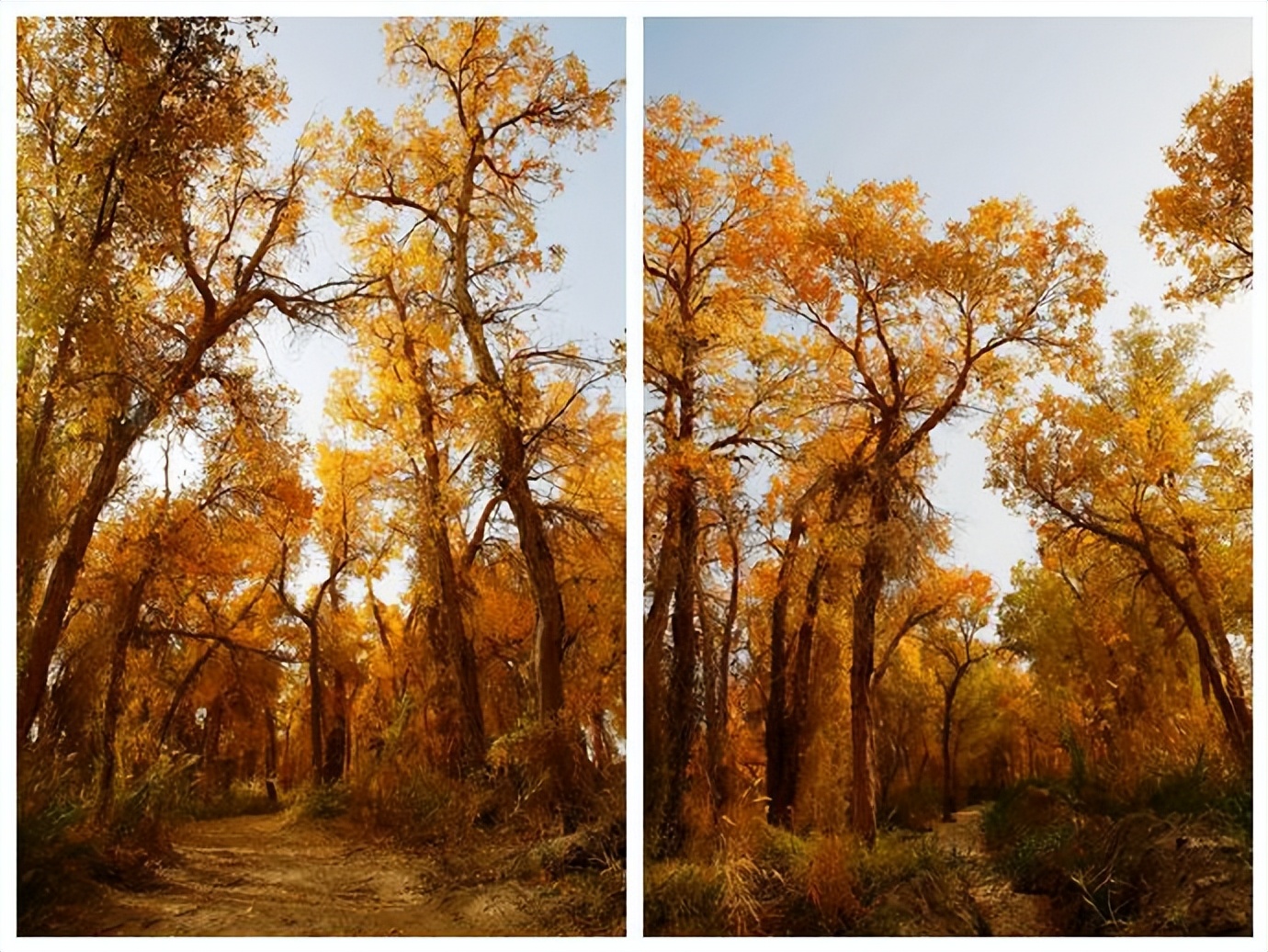 环游新疆15天,环游南疆8天攻略