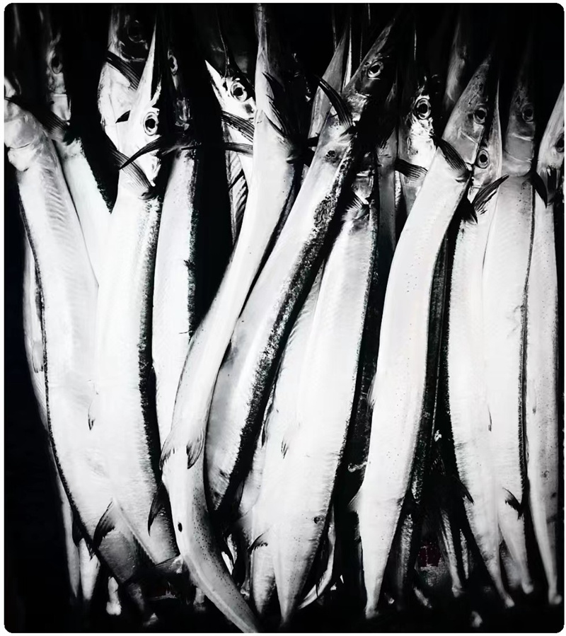 桃花源第三届桃花艺术节,桃花源艺术展