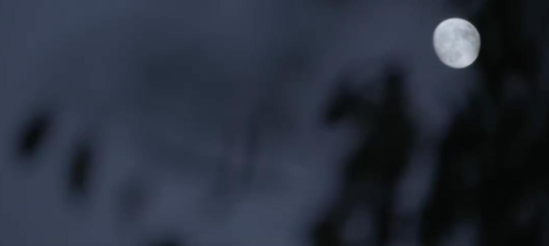 “我红了,她走了”