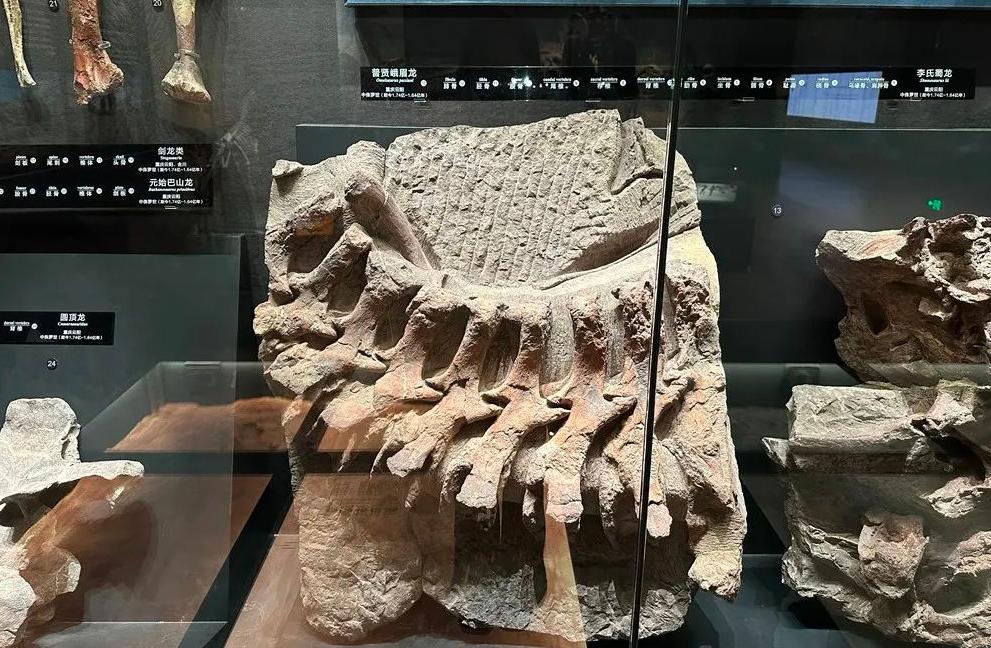 重庆自然资源科普馆有讲解吗,重庆自然资源科普馆一共几个馆