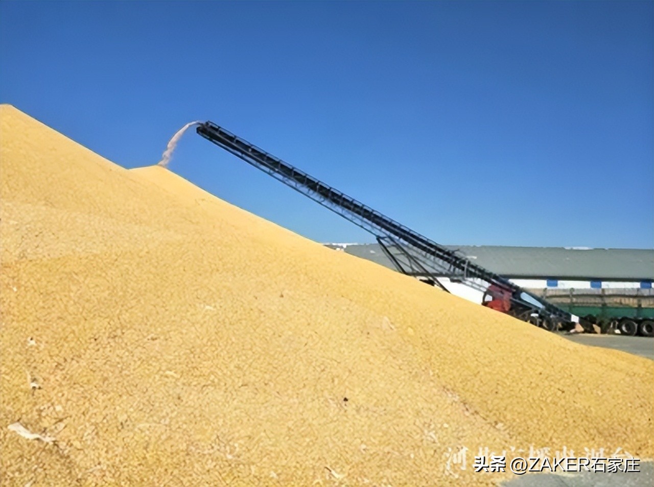 早新闻11.24|开这种车上路，交警必查！适老化改造托起“稳稳的幸福”；事关个人养老金，银保监会发布通知