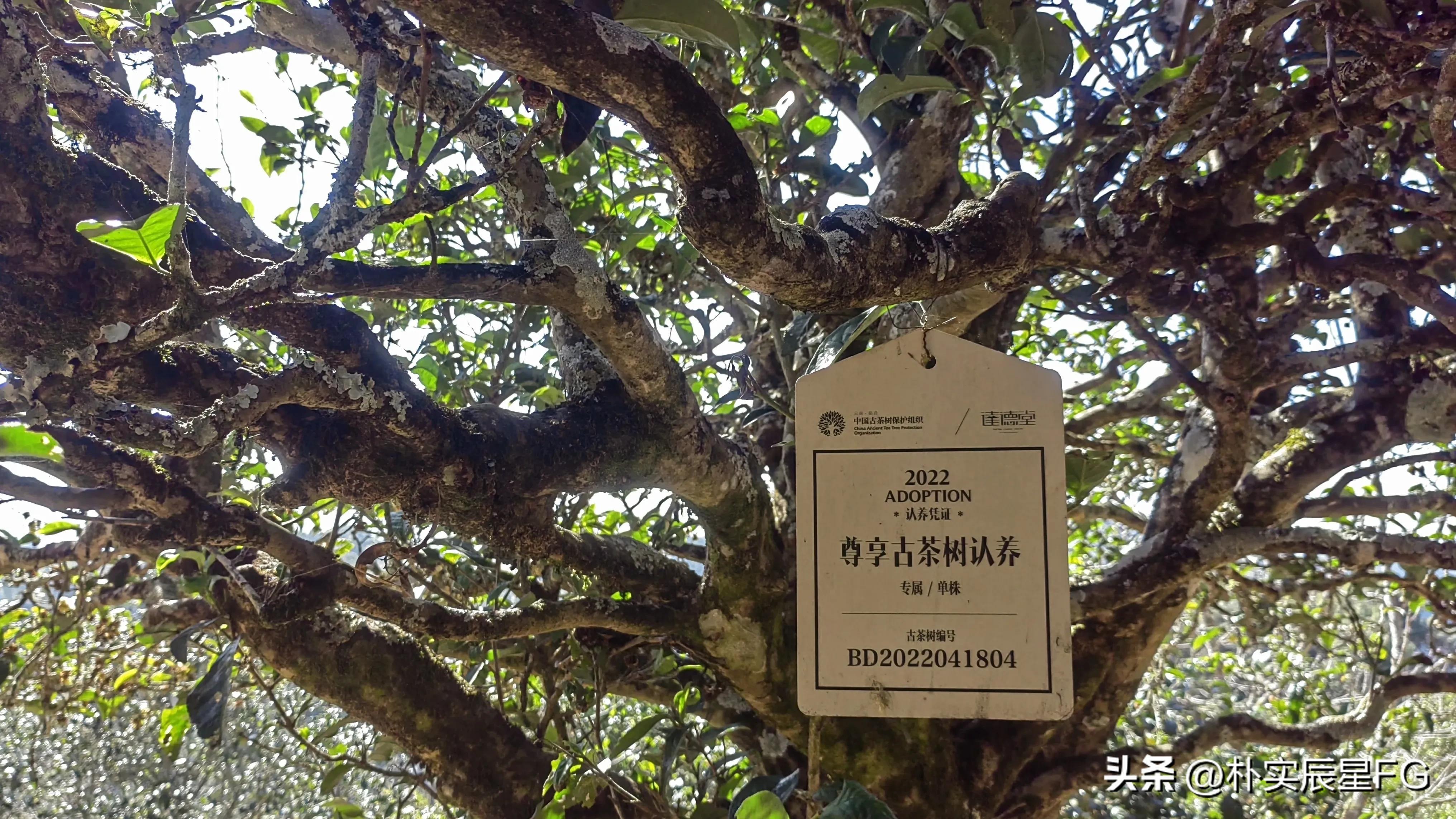 农民致富的出路在什么地方,新形式下农民如何增收致富