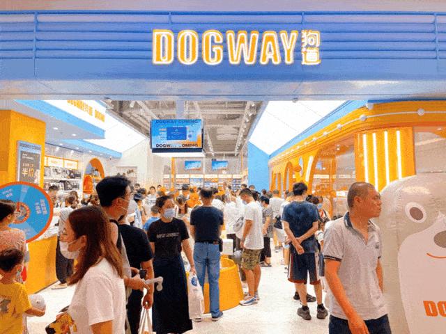 宠物经济商业模式成功的原因,宠物经济崛起