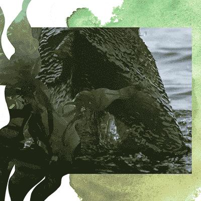 海蓝之谜活颜焕肤精华油,海蓝之谜lamer璀璨焕活精华油30ml