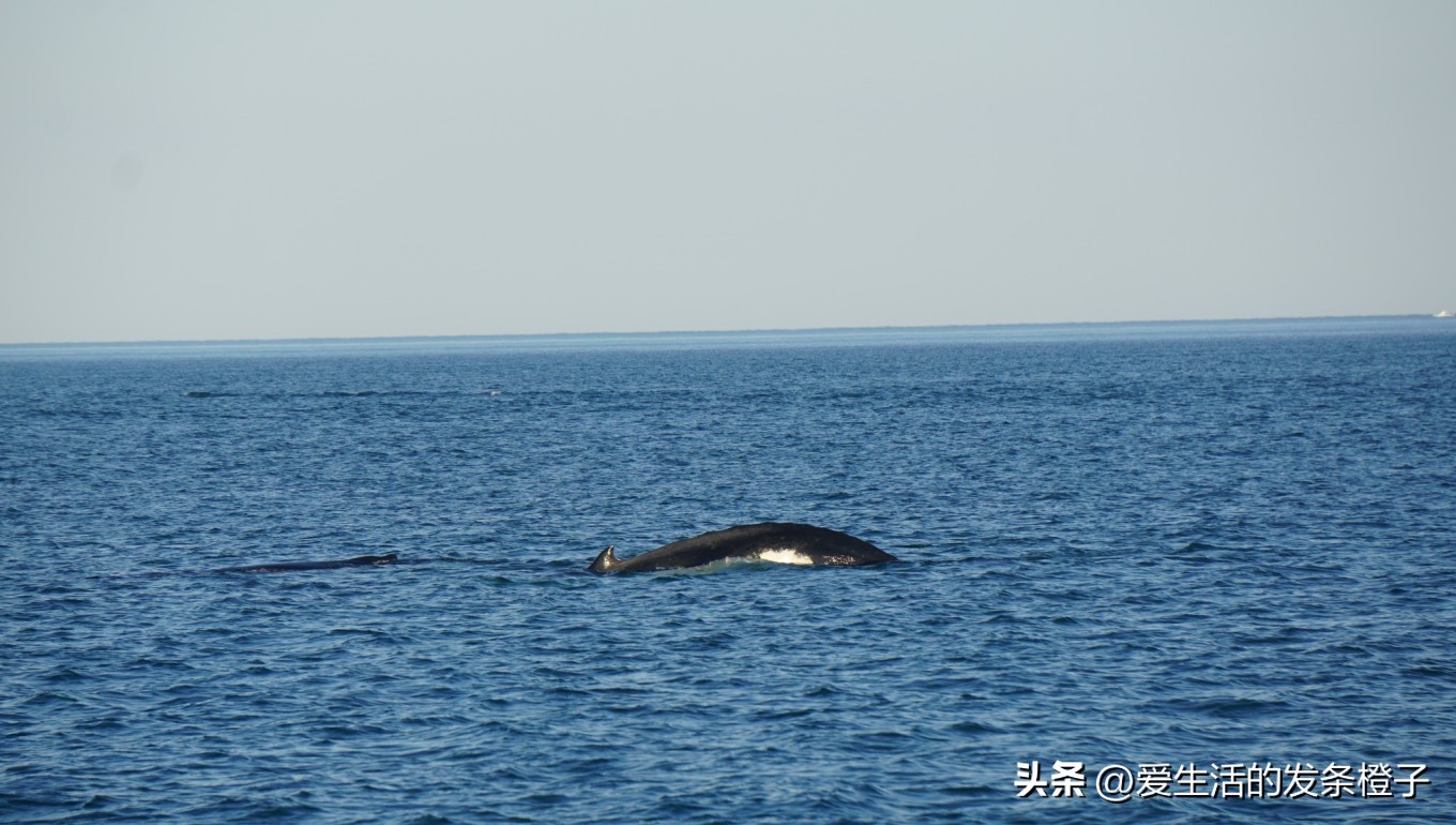 一路向北全程1980公里,西澳自驾游最佳路线图