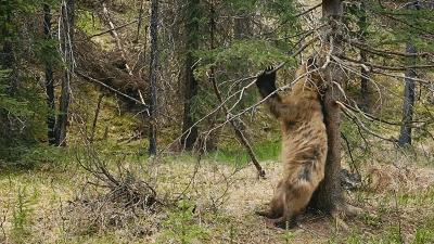 哈尔滨玩的地方推荐道里,梦幻漠河哈尔滨深度游